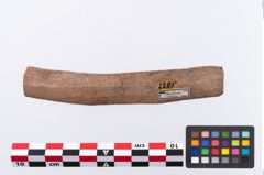 Foto von Beinmessergriffplatte (NHMW-PRAE-002295)